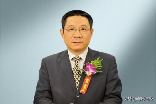 大冶富豪排行榜(黄石富人榜排名)插图6