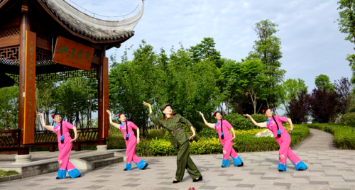 广场舞蹈机构排名前十(华翎舞蹈学校怎么样)插图11