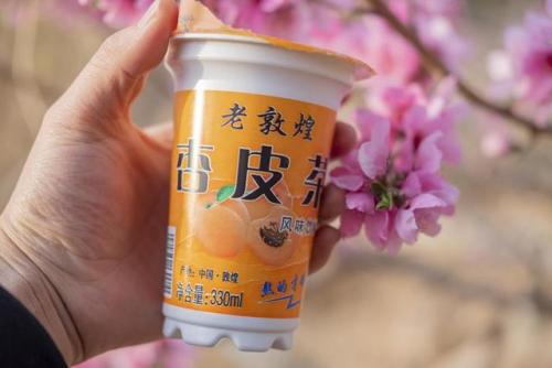 敦煌美食排行榜前十名(敦煌十大必吃馆子排名)插图5