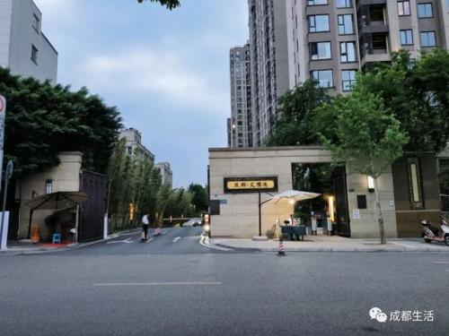 成都简约豪宅排名前十(成都最贵豪宅)插图33