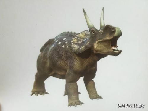 世界危险恐龙排名前十(恐龙战斗力排名)插图13