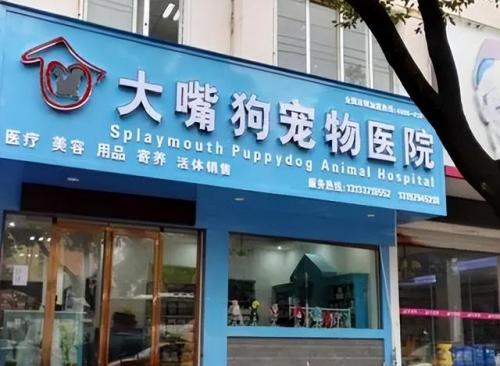 北京加盟店排行榜(加盟店排行榜加盟10大品牌)插图3