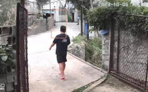 摄像机哪个牌子好(口碑最好的家用摄像头)