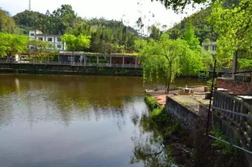 乐山婚庆酒楼排名前十(乐山上档次的中餐酒楼)插图12