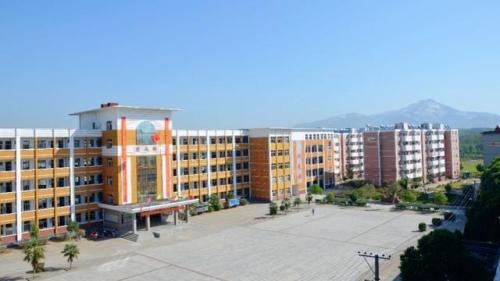 麻城私立学校排行榜(麻城市最好的小学排名)插图6
