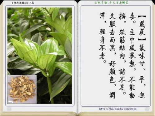 本草纲目中药大全(12000种中草药大全)插图4