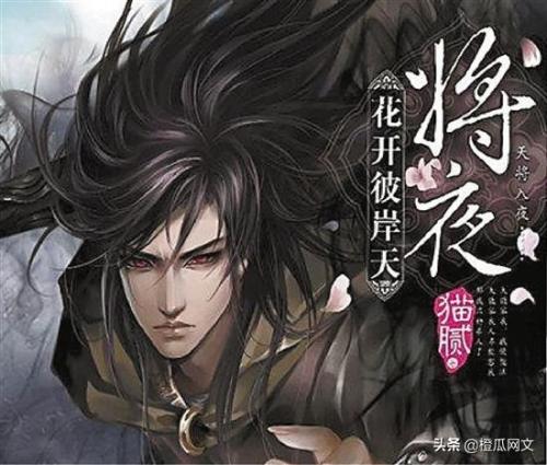 玄幻经典小说排行榜(十大完结巅峰神作小说)插图4