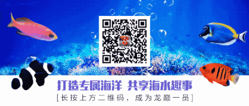 北欧十大金刚排行榜最新(北欧地板十大品牌)插图14