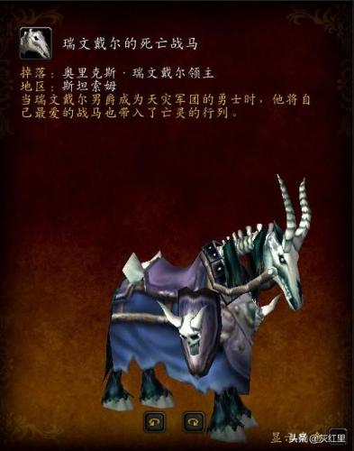 魔兽世界亡灵战马(创造与魔法亡灵战马怎么得)插图2