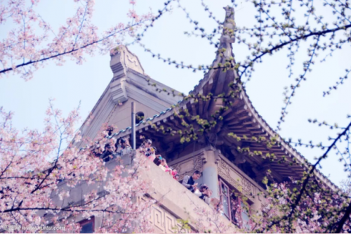 高校校花排行榜图片(全国高校女神排行榜)插图19