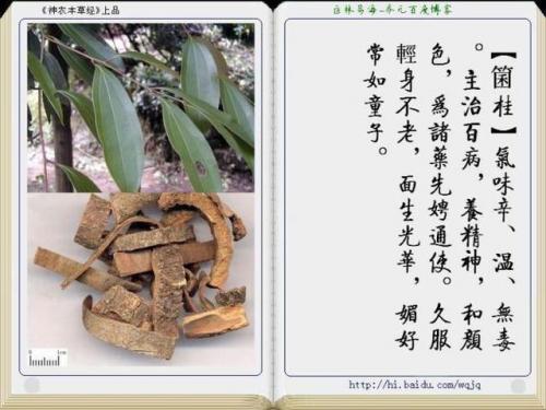 本草纲目中药大全(12000种中草药大全)插图47