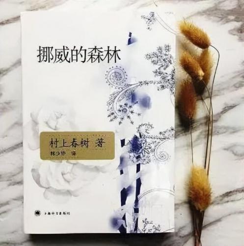 关于爱情的书籍排行榜(世界十大爱情名著小说)插图3