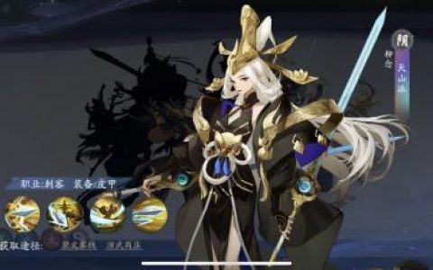 武林闲侠天山派怎么样(武林闲侠阵容推荐)
