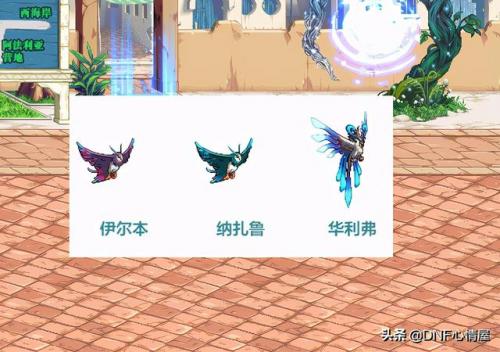 dnf宠物伊尔本还可以进化吗(dnf宠物纳扎鲁怎么进化)插图6