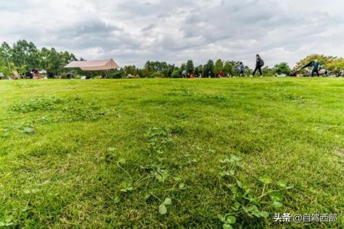 成都湿地景区排名前十(成都最美的湿地公园)插图5