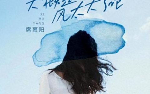 快手十大排行榜歌曲(快手十大歌曲有哪些)