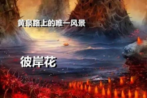 我的世界地狱疣代码(mc指令大全软件)插图10
