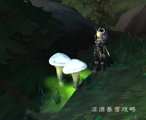 麦卡贡同行者刷新条件(伯拉勒斯怎么去麦卡贡)插图5