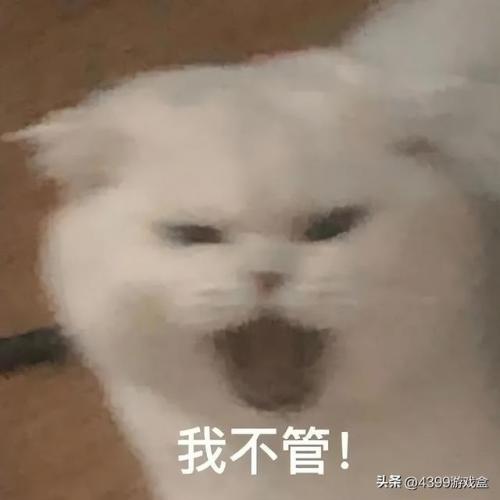 洛克王国宠物在哪里超进化(洛克王国宠物最强排名)插图