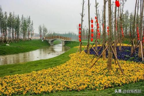 成都湿地景区排名前十(成都最美的湿地公园)插图8