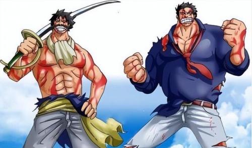 海贼王战力排行榜(海贼王战力天梯图)插图74