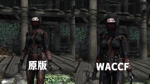 上古卷轴5灵魂石(老滚5灵魂石充能规则)插图2