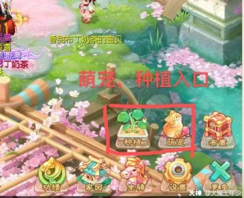 大话西游手游种植玩法介绍(大话西游二种植什么收益好)插图