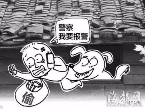 红外线防盗(夜间防小偷报警器)插图1