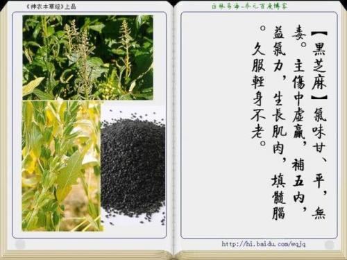 本草纲目中药大全(12000种中草药大全)插图40