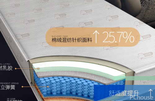 棕垫品牌排行榜(纯棕垫请问哪个品牌最好)插图2
