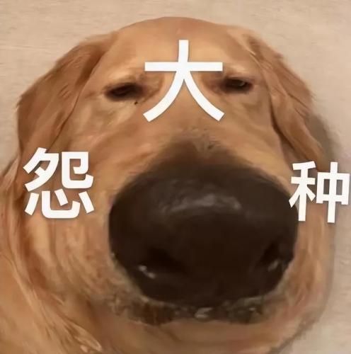 热词搜索排行榜(关键词热度查询工具)插图11
