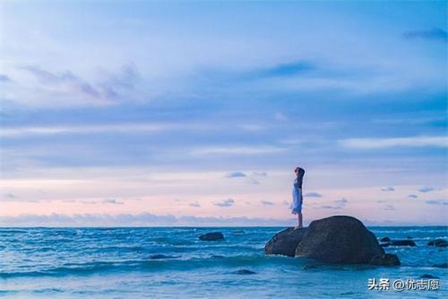 生态校区专业排名前十(苏州大学校区专业分布)插图2