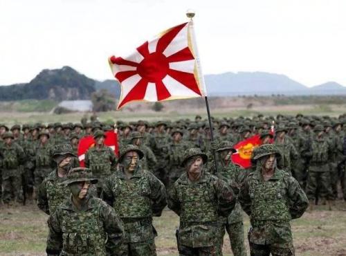 军事节目排行榜(中国十大必看军事历史纪录片)插图6