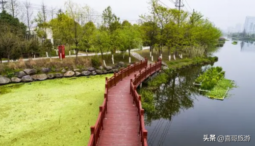 平阳景点排行榜(平阳景区有哪些景点)插图11