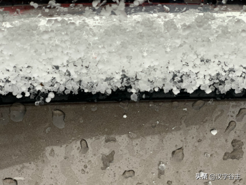 雹组词拼音(揪组词两个字的词语)插图16