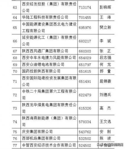 陕西汽车制造排名前十(汽车制造企业)插图5