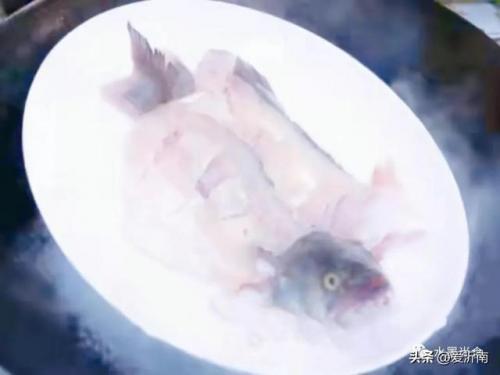 鲈鱼图片(淡水鲈鱼)插图9