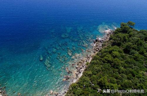 泳池派对雷克顿(泳池派对鳄鱼绝版了吗)插图67