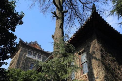 中国最美校园排行榜(中国十大美丽校园排名)插图6