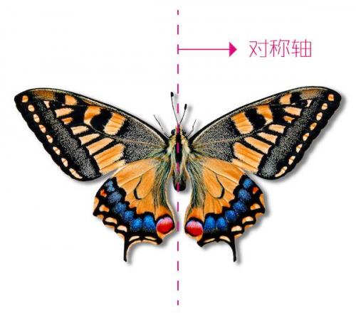 小学生科学小制作(小学科技小制作 简单实用)插图3