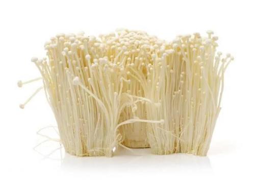 最新的蘑菇排名前十(十大最贵蘑菇)插图3