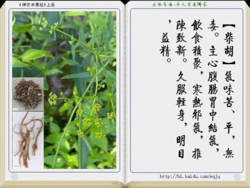 本草纲目中药大全(12000种中草药大全)插图1