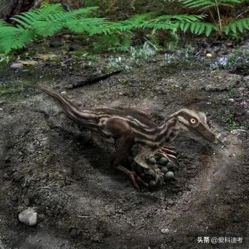世界危险恐龙排名前十(恐龙战斗力排名)插图9