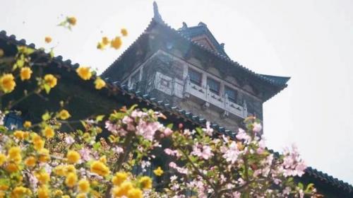 南京高校排行榜(南京中等职业学校排名)插图5