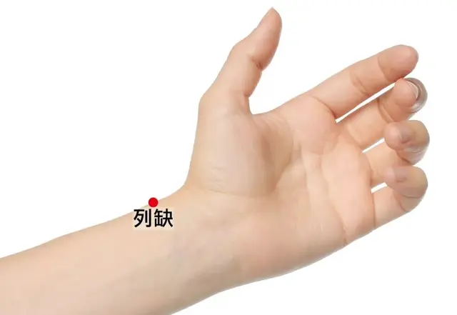 奇经八脉(十二正经走向图)插图2