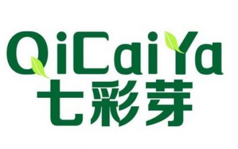 童装品牌大全排行榜(七彩芽童装品牌介绍)