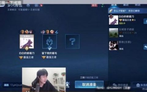 三排百胜阵容怎么搭配(王者三排最稳阵容)