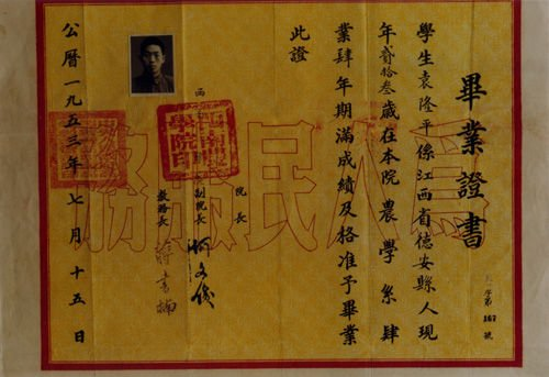 关于袁隆平爷爷的资料(袁奶奶是谁)插图1
