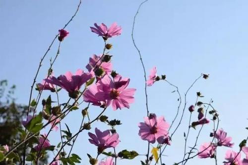 爱的箴言(歌曲爱的箴言表达什么)插图