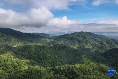 五指山在哪个省哪个市(五指山旅游景点介绍大全)插图